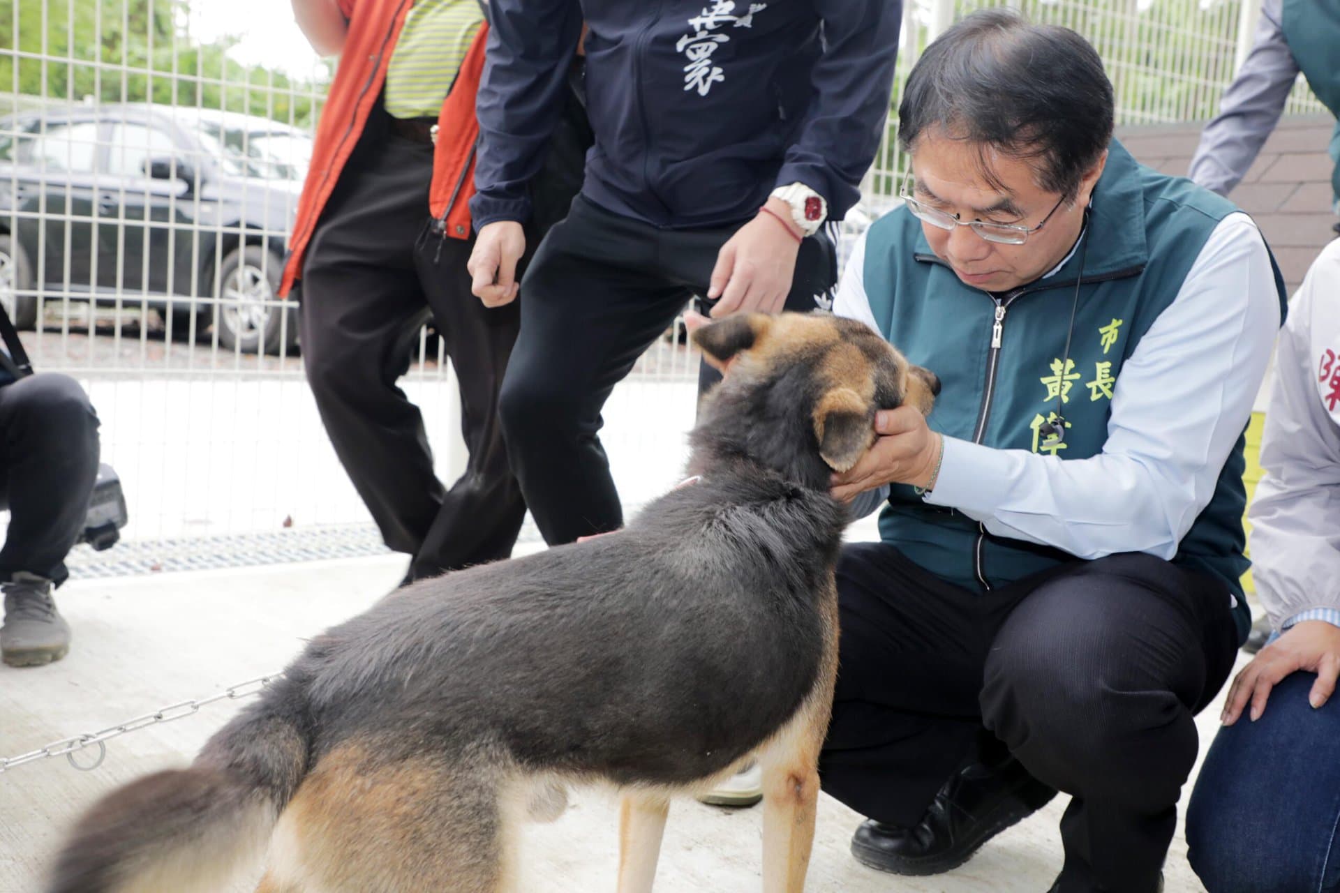 遊蕩犬